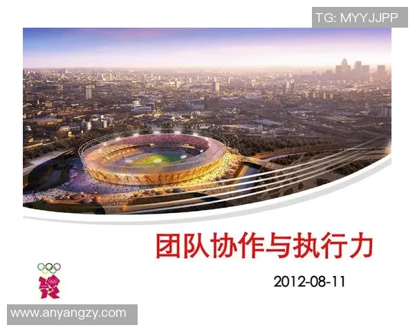 成都排球队在精英赛中的团队协作表现与战术执行力分析